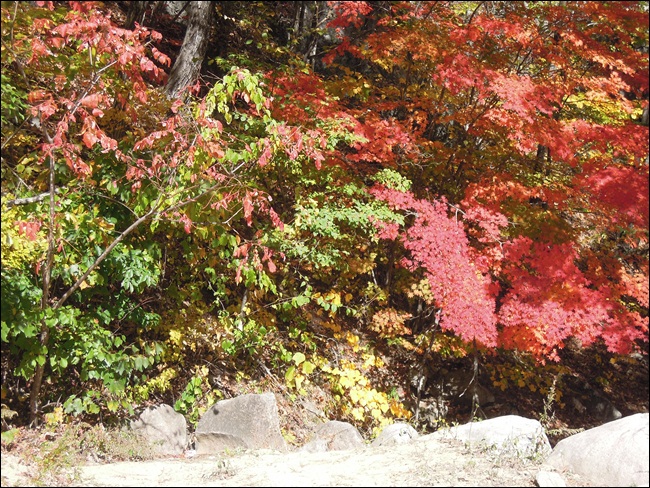 DSCN4195.JPG