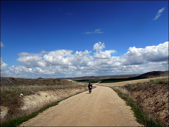 DSCN3798.JPG