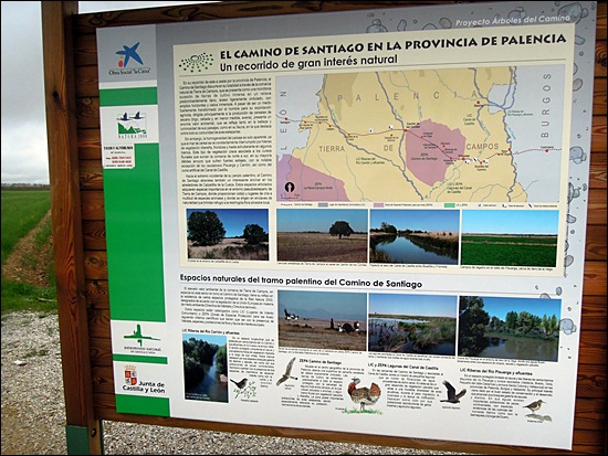 DSCN3831.JPG