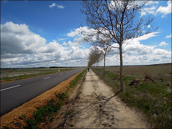 DSCN3838.JPG