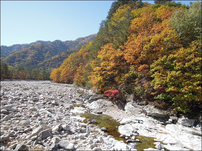 DSCN4209.JPG