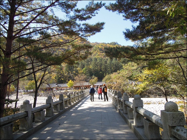 DSCN4216.JPG