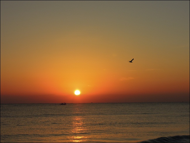 DSCN4304.JPG