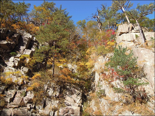 DSCN4364.JPG