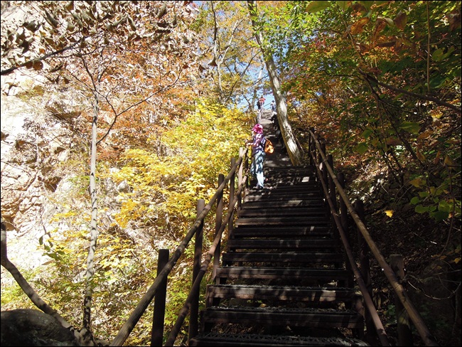DSCN4398.JPG