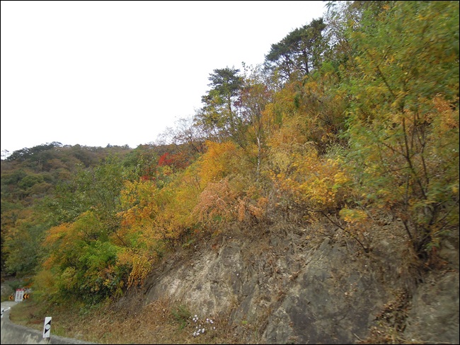 DSCN4450.JPG