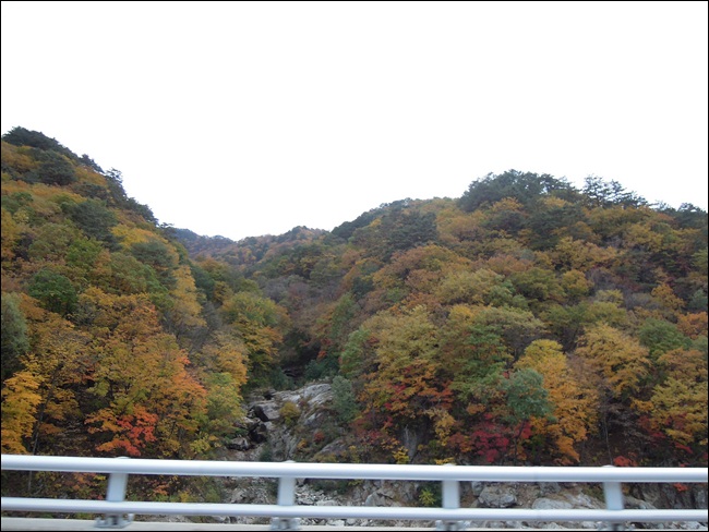 DSCN4497.JPG