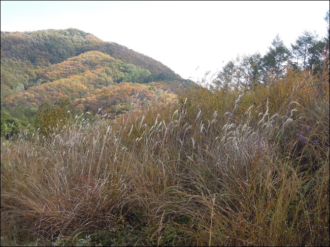DSCN4515.JPG