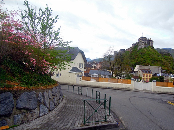 DSCN3550.JPG