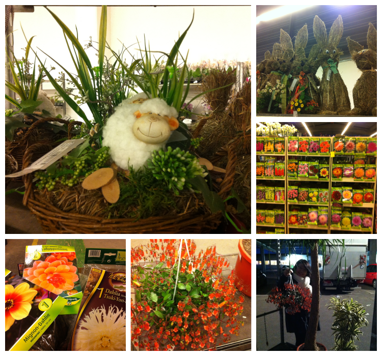 꽃시장 2 collage.png