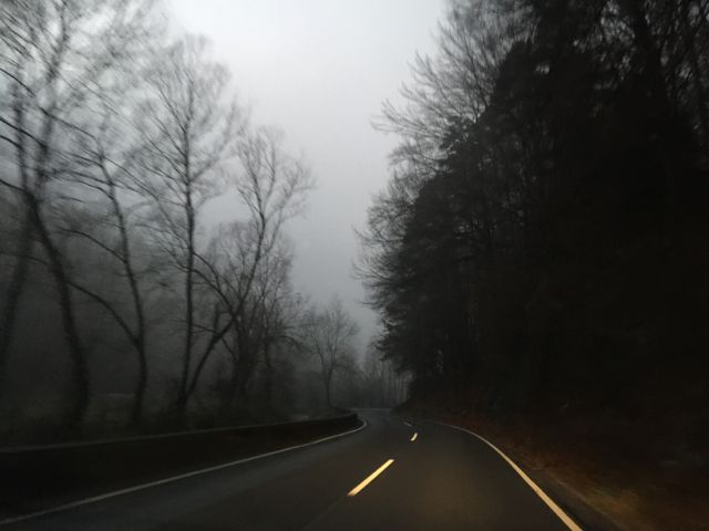 Nebel IMG_6443.jpg
