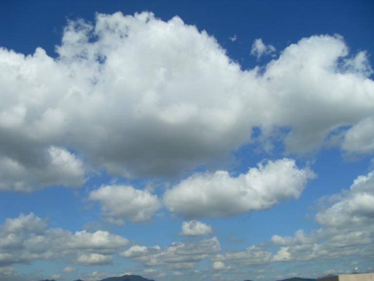 SDC10398.JPG