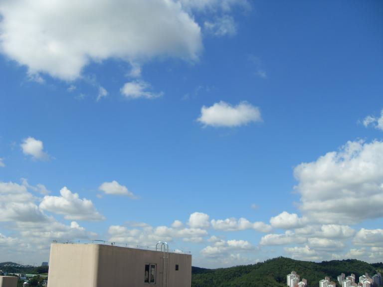 SDC10403.JPG