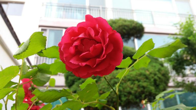 20170529_180707.jpg