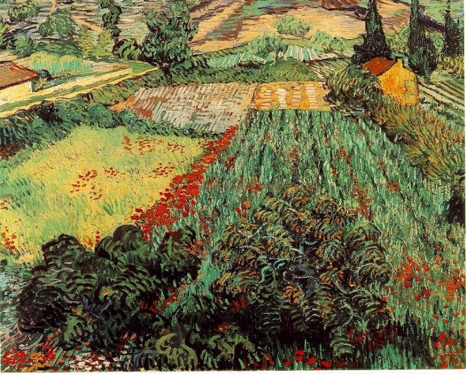 2-gogh-poppies_goldsunriver.jpg