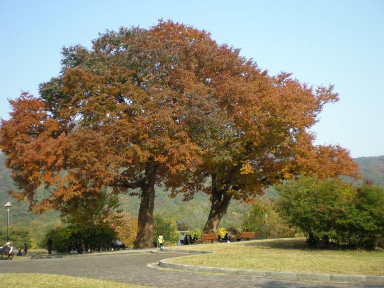 PA240061.JPG