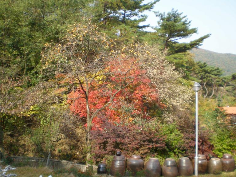 PA240012.JPG