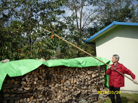 크기변환_201310361.JPG