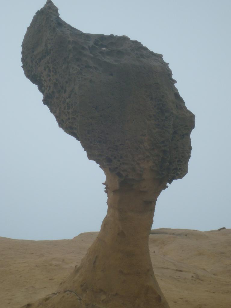 회전_DSC01001.JPG