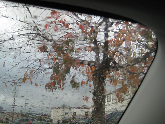 2009 1029 006.jpg
