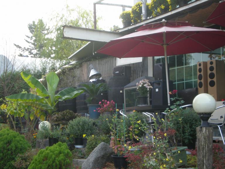 PA230043.JPG