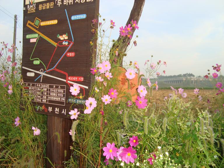 DSC03428.JPG