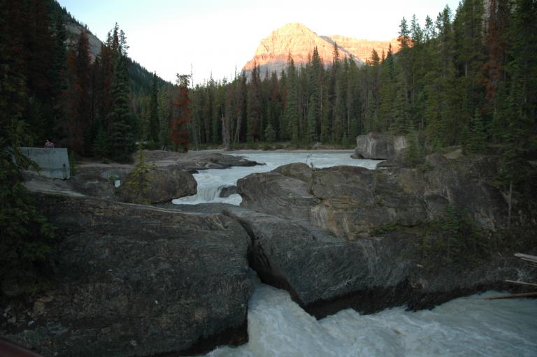 DSC_1682.JPG