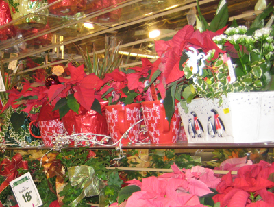 Lights Dec13 08 002 a.jpg