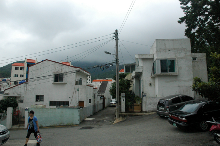 DSC_0419.jpg