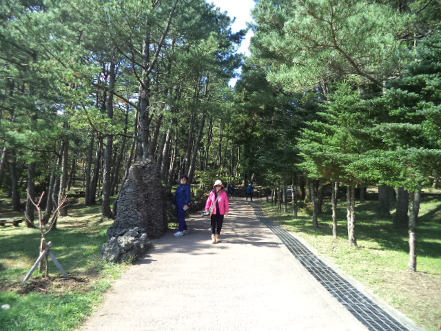 DSC00854.JPG