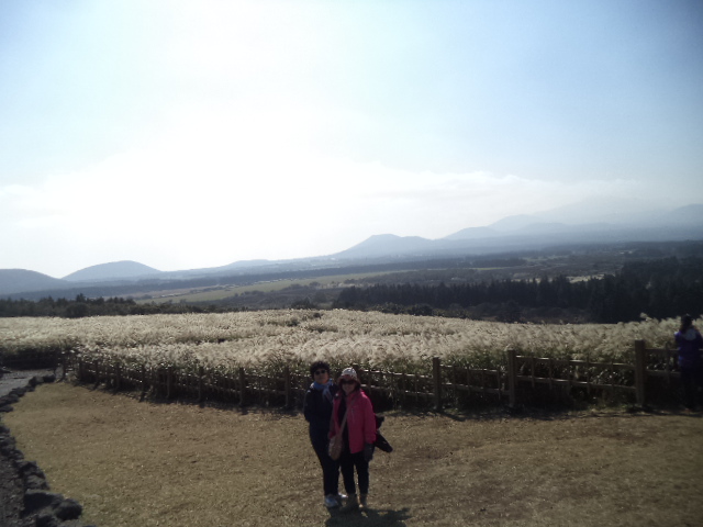 DSC00873.JPG