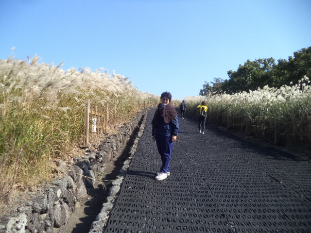 DSC00880.JPG