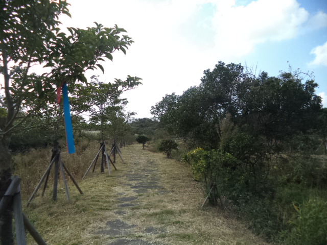 DSC00995.JPG