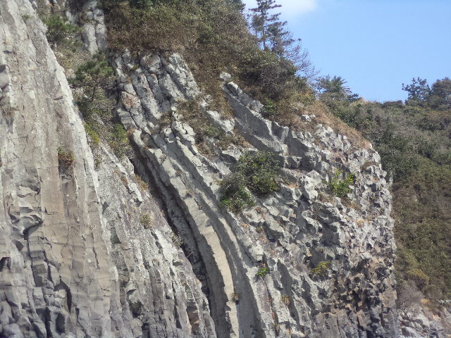 DSC01006.JPG
