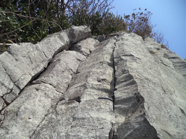 DSC01011.JPG