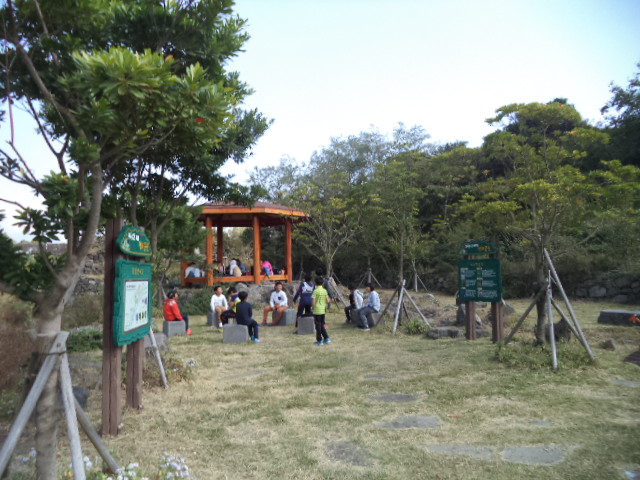 DSC01019.JPG