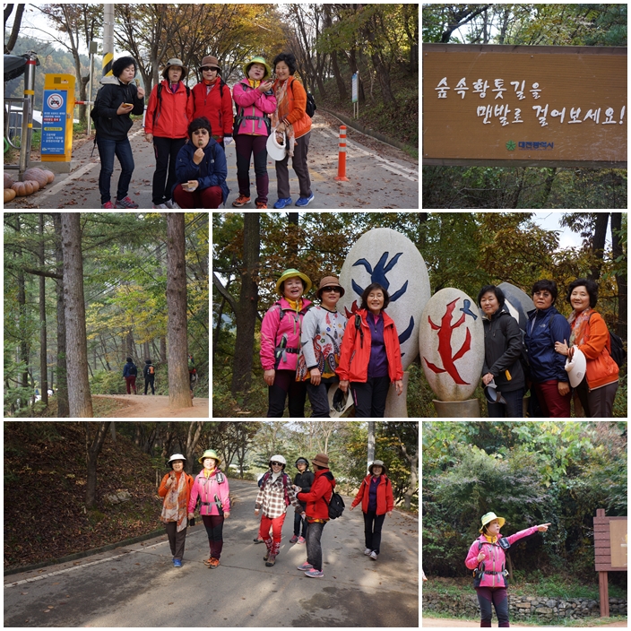 계족산 걷기 시작.jpg