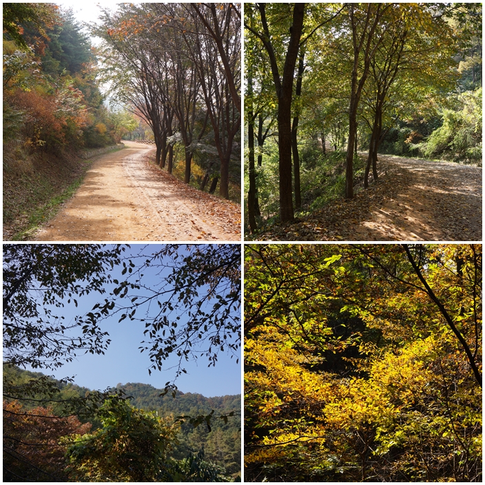 계족산 경치.jpg