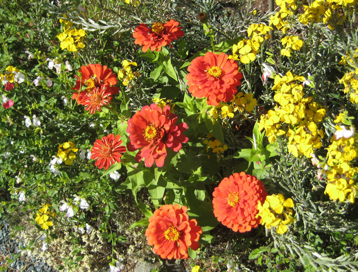 IMG_1564 a.jpg