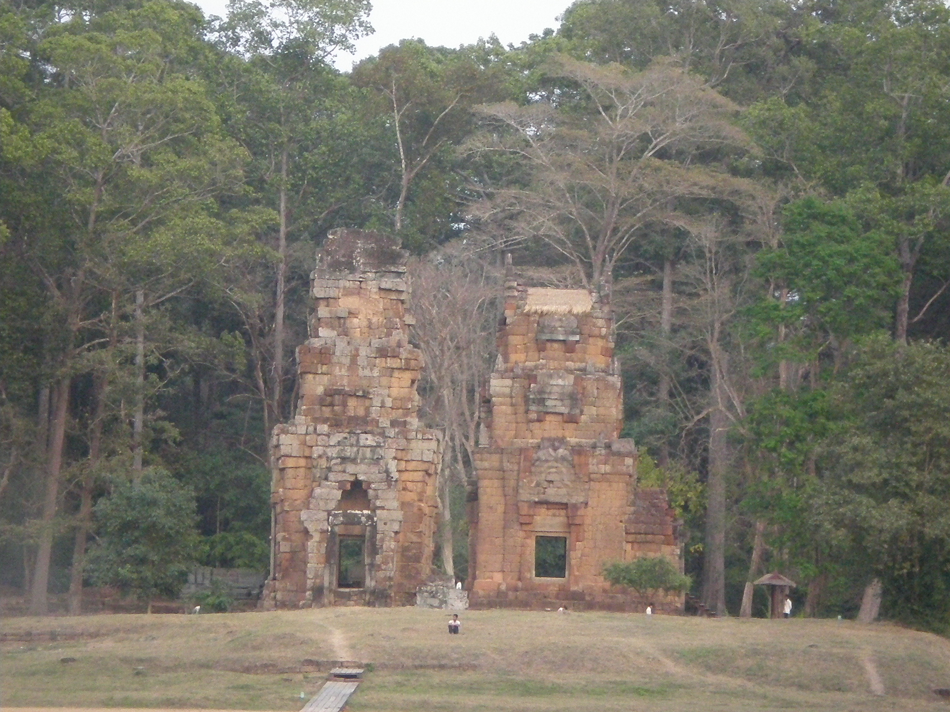 P2140027.JPG