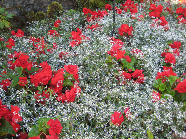 IMG_5101 a.jpg
