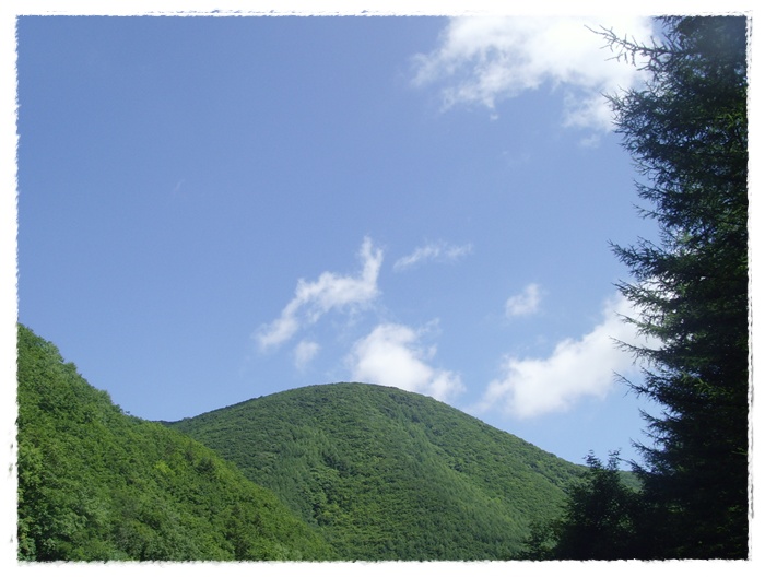SNV37149.JPG