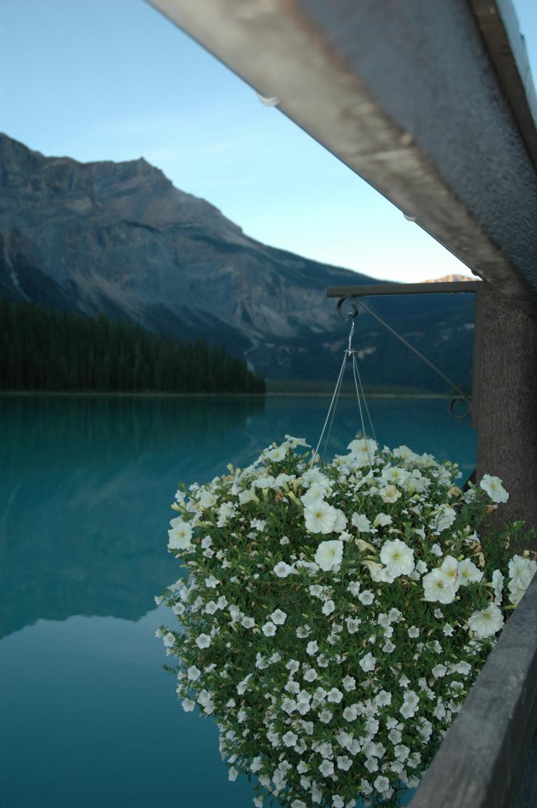 DSC_1674.JPG