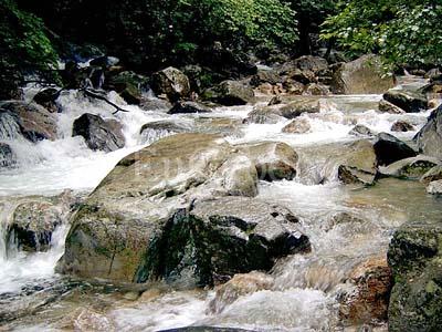 187824 유명산계곡.jpg 187824 유명산계곡.jpg