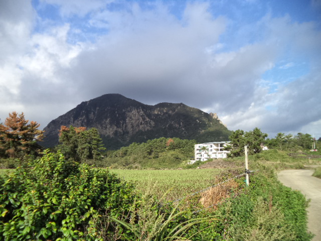DSC00088.JPG