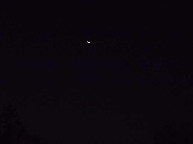 DSC01149.JPG