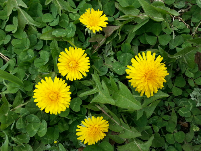 1402065495.jpg