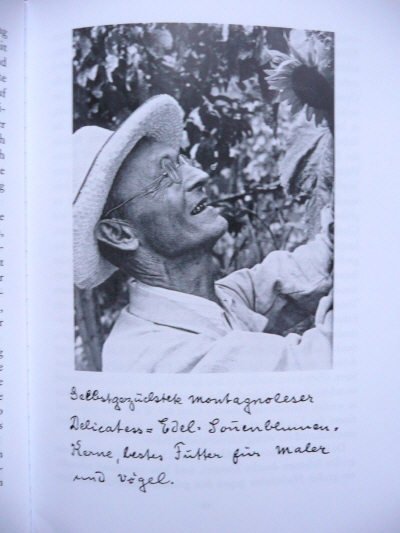 Hermann Hesse Freude am Garten  5.jpg