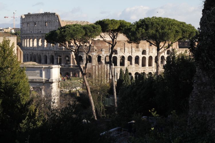 vom Palatin aufs Colosseum_MG_7671.jpg