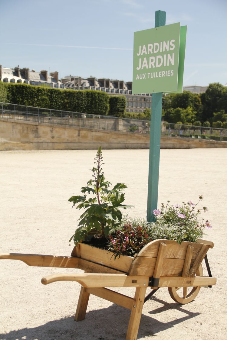 Jardins jardin aux tuileries_2381.jpg